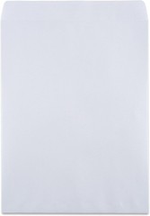 Bulk Pack of 100 9×12 Security Tinted Self-Seal Catalog Envelopes