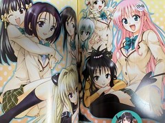 To LOVE-Ru Toraburu Illustration Art Book Rabukara! Love Color Japanese USED