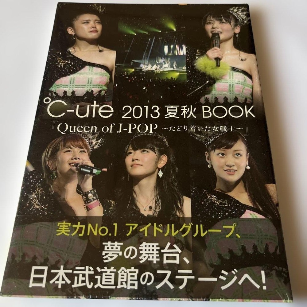 °Cute 2013 Summer Autumn Book Photobook Live Nippon Budokan Wani Books