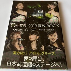 °Cute 2013 Summer Autumn Book Photobook Live Nippon Budokan Wani Books