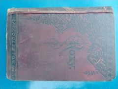 CLEARANCE: ROXY, Edward Eggleston 1st Edition Publisher Charles Scribner’s 1878