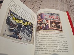 Cavernario Galindo O La Furia En El Ring – Lucha Libre Book – 238 Pages – Arana