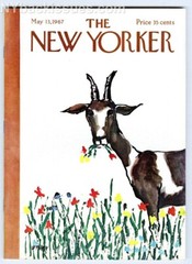 New Yorker magazine May 13 1967 GOAT Edna O’Brien Howard Moss NEAR MINT