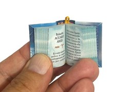 Acuario Signo zodiaco mini book 1.4 inches hardcover in Spanish easy read 300p