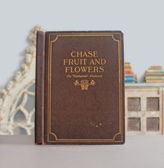 Rare Antique Old Book Chase Fruit Tree Flower Garden 1922 Vine Natural Nature ⭐