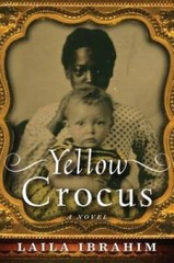 Yellow Crocus – Paperback By Ibrahim, Laila – GOOD