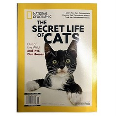 National Geographic Magazine 2026 ~ THE SECRET LIFE OF CATS ~ Brand New