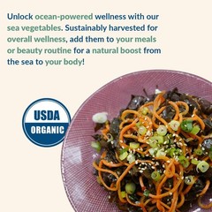 Maine Coast Sea Vegetables Organic Triple Blend Flakes 1 Ounce (Pack of 1)