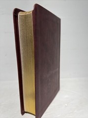 Santa Biblia / Holy Bible: Nueva Biblia Al Dia / New Living Version Burgundy