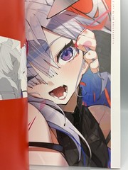 ILLUSTRATION DELTA Vol.2 nnSAKnnn Art Book A4/32P Doujinshi