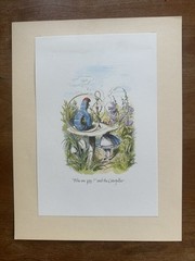8 Vintage John Tenniel Alice In Wonderland Prints (8.5 x 11 Inches)