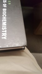 Lehninger Principles of Biochemistry