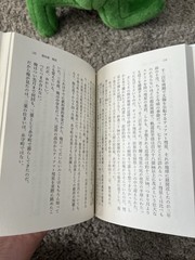 Your Name (Kimi no Na ha) Japanese Anime Book