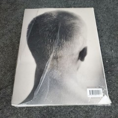 Leap Before You Look: Black Mountain College 1933-1957 Helen Molesworth