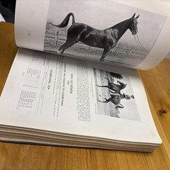 The OFFICIAL HORSE SHOW BLUE BOOK 1934 – The Equine Hall of Fame Equestrian 28th