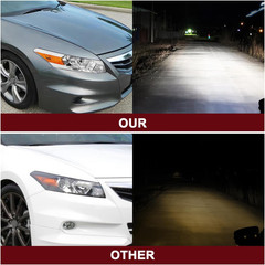 Projector Headlight Assembly W/Bulbs for 2008-2012 Honda Accord Coupe 2-Door Hal