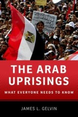 What Everyone Needs to Know Ser.: The Arab Uprisings : What Everyone Needs to…