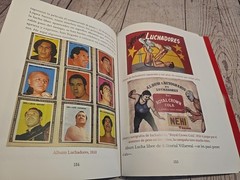 Cavernario Galindo O La Furia En El Ring – Lucha Libre Book – 238 Pages – Arana