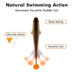 TRUSCEND 12 PCS Fishing Lures for Bass Trout 4in (10cm), 4″,12pcs,0.3oz