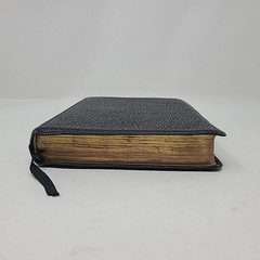 Holy Bible Brevier Self Pronouncing India Paper Great Britain Goatskin Oxford
