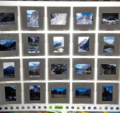 1000 Vintage Slides Nature Flower Mtns Trees Lakes 2 x 2 In 50 Holders 1960-1970