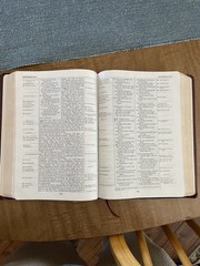 Kirkbride Thompson Chain Reference Bible NIV Red Letter Bonded Leather