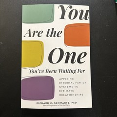 Relationships : You Are the One You’ve Been Waiting for Applying Internal Family