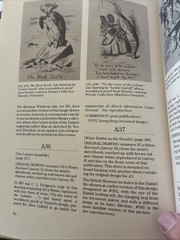 Alice’s Adventures in Wonderland Printing Re-Described Privately Published 1990