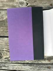 Harry Potter and The Half-Blood Prince 1st Edition 652 Pages – Errors!