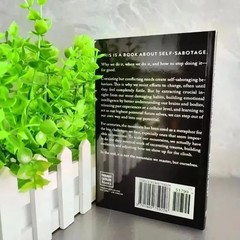 The Mountain is You: Transforming Self Sabotage into Self Mastery