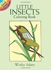 Little Insects Coloring Book Paperback Winky Adam