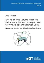 Effects of Time-Varying Magnetic Fields in the Frequency Range 1 kHz to 100 kHz