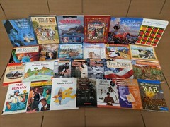 Lot of 10 Kids US History World Constitution Scholastic Child Books MIX UNSORTED
