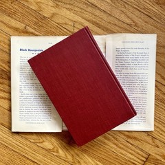 Black Bourgeoisie by E Franklin Frazier 1957 First Edition HC DJ Middle Class