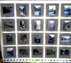 1000 Vintage Slides Nature Flower Mtns Trees Lakes 2 x 2 In 50 Holders 1960-1970