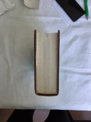 Daniel by John Calvin 2 Vols. In 1-BANNER OF TRUTH Geneva series 800 Pages