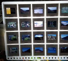 1000 Vintage Slides Nature Flower Mtns Trees Lakes 2 x 2 In 50 Holders 1960-1970