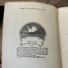 The Call of The Wild Jack London 1915