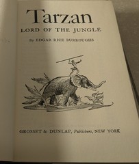 Tarzan Lord of the Jungle Hardcover Edgar Rice Burroughs With Dust Jacket VG++