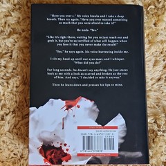 Tracy Wolff Crave Hardcover Fiction Novel Entangled Publishing