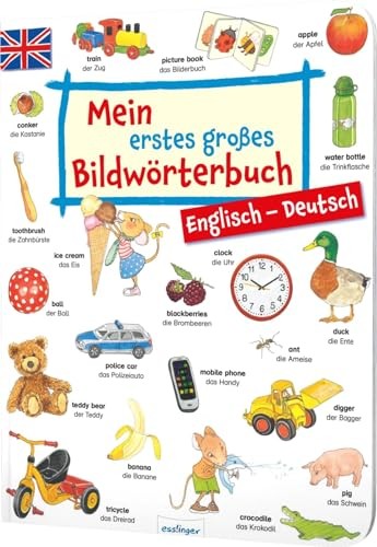 Mein erstes großes Bildwörterbuch – Englisch/Deutsch Book The Fast Free Shipping