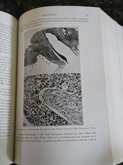 The Practitioners Library of Medicine and Surgery 1938 Supplement Index