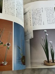 Flower materials and ikebana (Shinchosha) Paperback