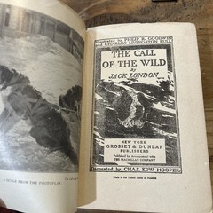 The Call of The Wild Jack London 1915