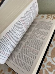 Zondervan New International Version NIV Holy Bible Red Letter Vintage