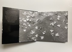 Vivian Maier: Out of the Shadows Mint Copies Out Of Print Book $60 List