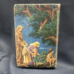 Vintage – Rainbow Bible – Children’s Illustrated KJV – Self-Pronouncing Bible