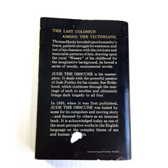 Jude the Obscure Thomas Hardy Laurel Edition Classic Victorian Dell 1962