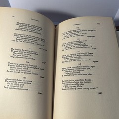 The Limerick: 1700 Examples with Variants and Index by G. Legman 1969 HC/DJ