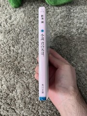 Your Name (Kimi no Na ha) Japanese Anime Book